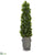 Silk Plants Direct Sweet Bay Cone Topiary Artificial Tree - Pack of 1