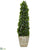 Silk Plants Direct Sweet Bay Cone Topiary Artificial Tree - Pack of 1