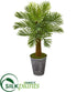Silk Plants Direct Robellini Palm Artificial Tree - Pack of 1