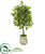 Silk Plants Direct Mini Ficus Artificial Tree - Pack of 1
