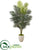 Silk Plants Direct Paradise Palm Artificial Plant - Pack of 1