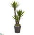 Silk Plants Direct Yucca Artificial Tree - Pack of 1