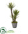 Silk Plants Direct Yucca Artificial Tree - Pack of 1