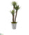 Silk Plants Direct Yucca Artificial Tree - Pack of 1