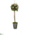 Silk Plants Direct Rose Topiary Artificial Tree - Pack of 1