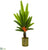 Silk Plants Direct Travelers Palm Artificial Tree - Pack of 1