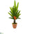 Silk Plants Direct  Travelers Palm Artificial Tree - Pack of 1