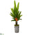 Silk Plants Direct Travelers Palm Artificial Tree - Pack of 1