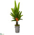 Silk Plants Direct Travelers Palm Artificial Tree - Pack of 1