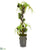 Silk Plants Direct Tillandsia Artificial Plant - Pack of 1