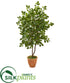 Silk Plants Direct Oak Artificial Tree - Pack of 1