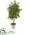 Silk Plants Direct Oak Artificial Tree - Pack of 1