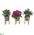 Silk Plants Direct Rose and Olive Artificial Arrangement in Tin Vase with Legs - Purple - Pack of 3