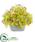 Silk Plants Direct Cymbidium Orchid Artificial Arrangement - Green - Pack of 1