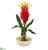 Silk Plants Direct Dragon Fruit Artificial Arrangement - Pack of 1