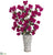 Silk Plants Direct Bougainvillea Artificial Arrangement - Cream - Pack of 1