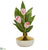 Silk Plants Direct Tulip Artificial Arrangement - White - Pack of 1