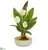 Silk Plants Direct Tulip Artificial Arrangement - White - Pack of 1