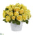 Silk Plants Direct Rose Artificial Arrangement - Green - Pack of 1
