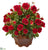 Silk Plants Direct Garden Rose Artificial Arrangement - Red - Pack of 1