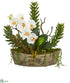 Silk Plants Direct Orchid Phalaenopsis and Mix Succulent Artificial Arrangement - Pack of 1