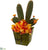 Silk Plants Direct Cymbidium Orchid and Cactus Artificial Arrangement - Pack of 1