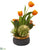 Silk Plants Direct Tulips and Succulents Artificial Arrangement - Pack of 1