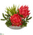 Silk Plants Direct Succulent and Floral Artificial Arrangement - Pack of 1