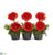 Silk Plants Direct Gerber Daisy Artificial Arrangement - Red - Pack of 1