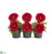 Silk Plants Direct Gerber Daisy Artificial Arrangement - Red - Pack of 1