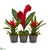 Silk Plants Direct Tropical Trio Artificial Arrangement - Pack of 1