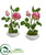 Silk Plants Direct Rose Artificial Arrangement in White Vase - Pink - Pack of 2