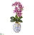 Silk Plants Direct Phalaenopsis Orchid Artificial Arrangement - White - Pack of 1