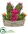 Silk Plants Direct Peony, Succulent and Cactus Artificial Arrangement - Orchid - Pack of 1