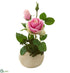 Silk Plants Direct Rose and Sedum Succulent Artificial Arrangement - Pack of 1