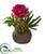 Silk Plants Direct Peony and Succulent Artificial Arrangement - Pack of 1