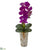 Silk Plants Direct Phalaenopsis Orchid Artificial Arrangement - Purple Cream - Pack of 1