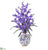Silk Plants Direct Dancing Lady Orchid Artificial Arrangement - White - Pack of 1