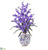 Silk Plants Direct Dancing Lady Orchid Artificial Arrangement - Purple - Pack of 1