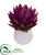 Silk Plants Direct Musella Artificial Arrangement - Purple - Pack of 1