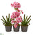 Silk Plants Direct Cherry Blossom and Cactus Artificial Arrangement - Pack of 1
