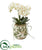 Silk Plants Direct Mini Orchid Phalaenopsis Artificial Arrangement - Pack of 1
