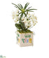 Silk Plants Direct Orchid Phalaenopsis and Cyperus Artificial Arrangement - Pack of 1