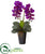 Silk Plants Direct Double Phalaenopsis Orchid Artificial Arrangement - Black Purple - Pack of 1
