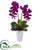 Silk Plants Direct Double Phalaenopsis Orchid Artificial Arrangement - Purple White - Pack of 1