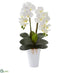 Silk Plants Direct Double Phalaenopsis Orchid Artificial Arrangement - White White - Pack of 1