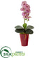 Silk Plants Direct Phalaenopsis Orchid Artificial Arrangement - Cream Pink - Pack of 1