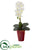 Silk Plants Direct Phalaenopsis Orchid Artificial Arrangement - White - Pack of 1