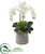 Silk Plants Direct Triple Phalaenopsis Orchid Artificial Arrangement - Pack of 1