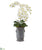 Silk Plants Direct Phalaenopsis Orchid Artificial Arrangement - Pack of 1